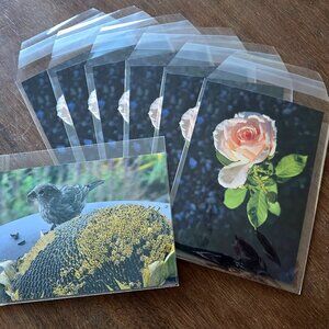 1 Finch & 6 Rose Postcards